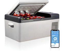 Koelbox - 15 Litres - Koelbox 12v 220v - Koelbox Elektrisch - Grijs - 32cm x 60cm x 26cm