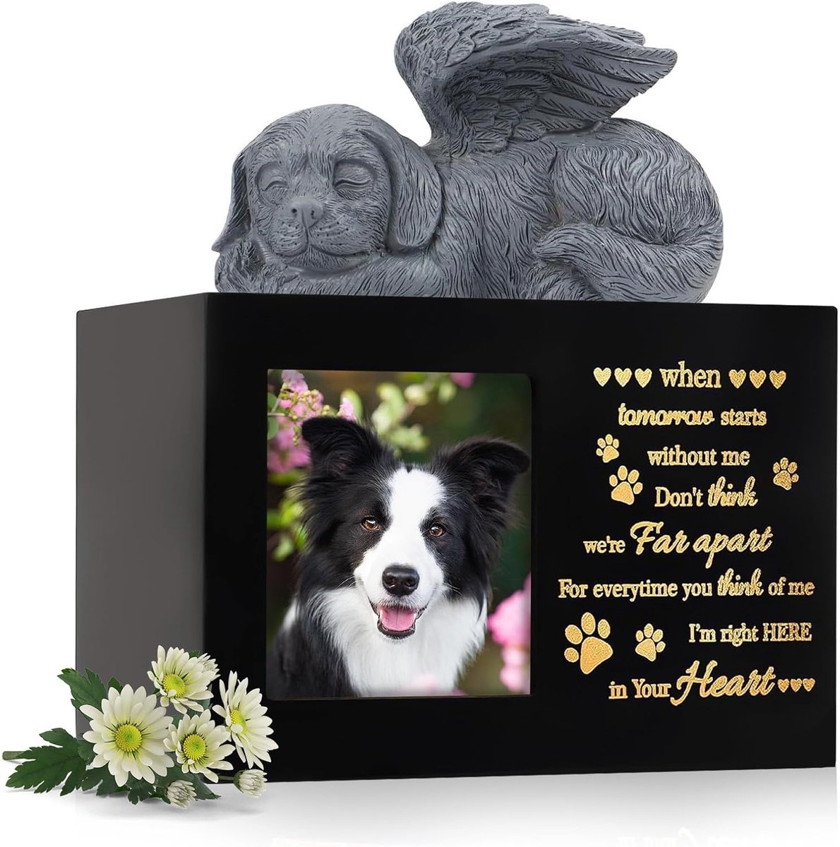 Huisdier urn zwart hout - Honden as box met engel figuur - Herinneringsdoos voor overleden huisdieren - ShopVlot
