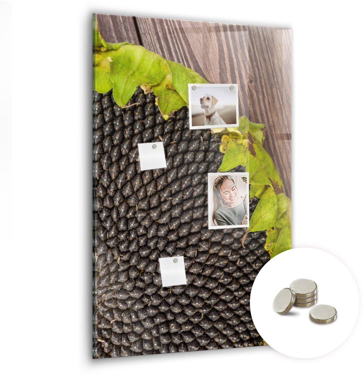 Coloray Glazen Magneetbord - Magnetisch Bord Kruiden - 60x90 cm - Bruin Magneetbord - Magnetic Board - Keuken Decoratie