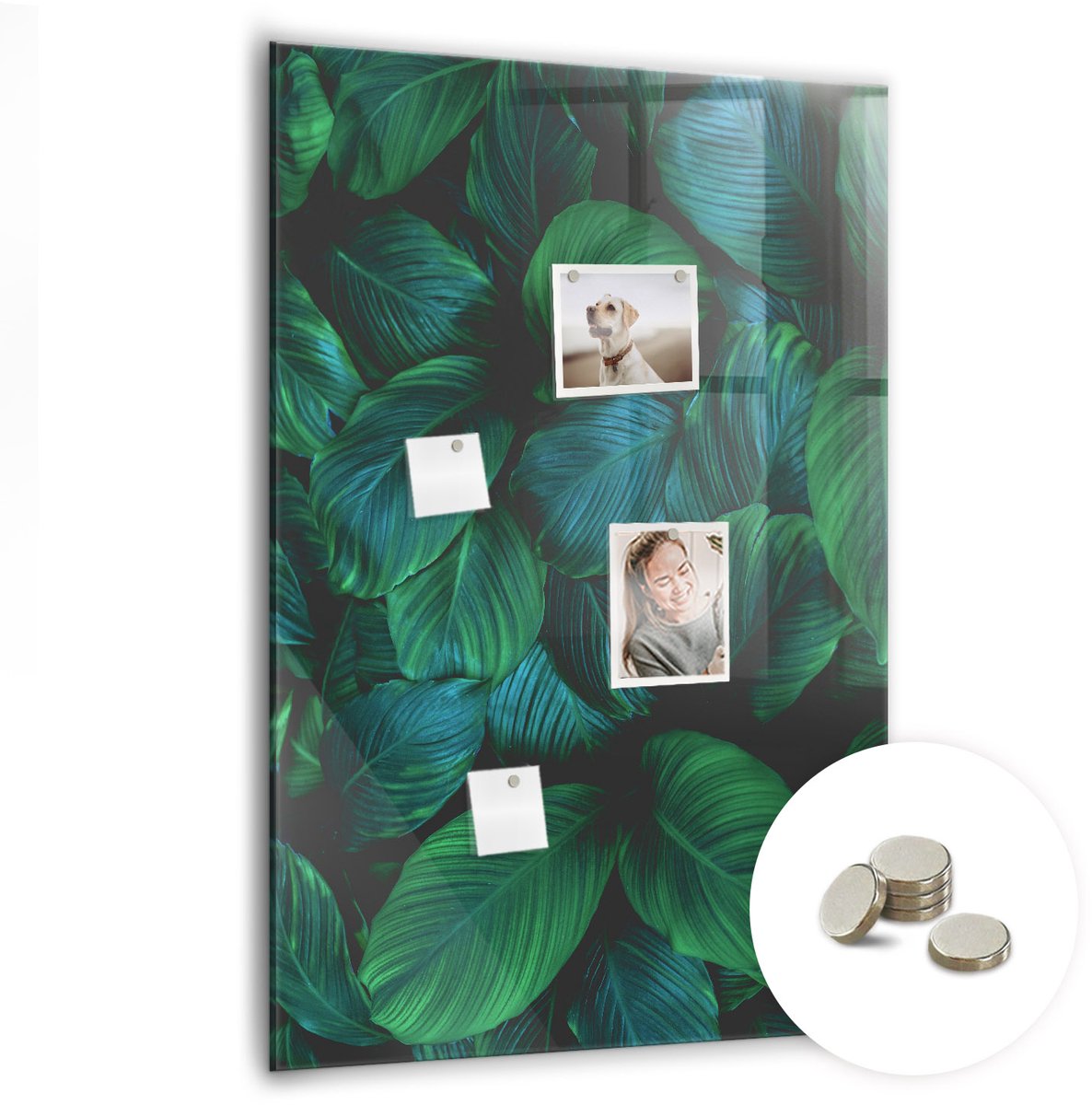 Coloray Glazen Magneetbord - Magnetisch Bord Abstracte lijnen - 70x100 cm - Groente Magneetbord - Magnetic Board - Woonkamer Decoratie