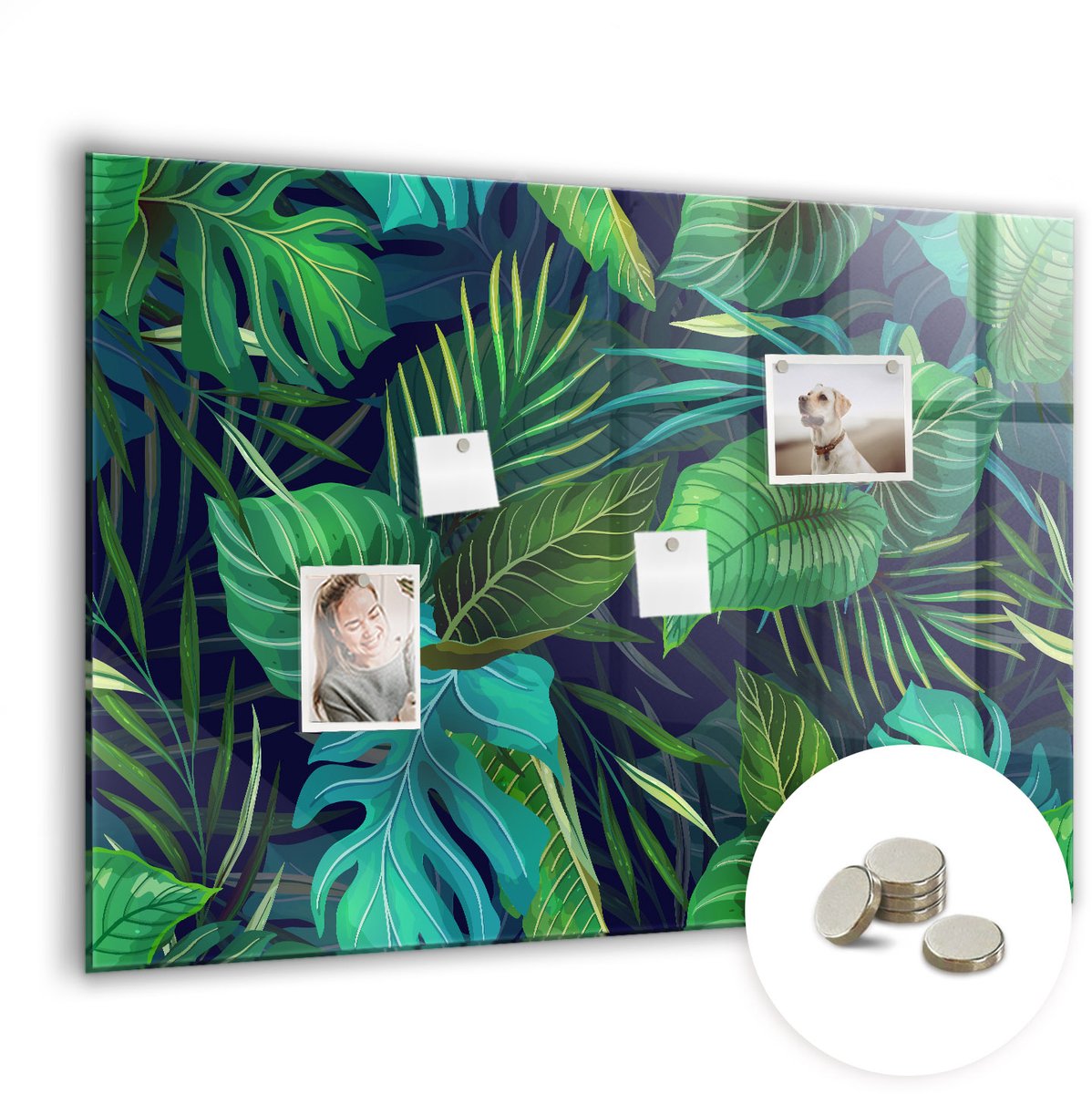 Coloray Glazen Magneetbord - Magnetisch Bord 3D-wereldkaart - 100x70 cm - Groente Magneetbord - Magnetic Board - Magneetbord Design