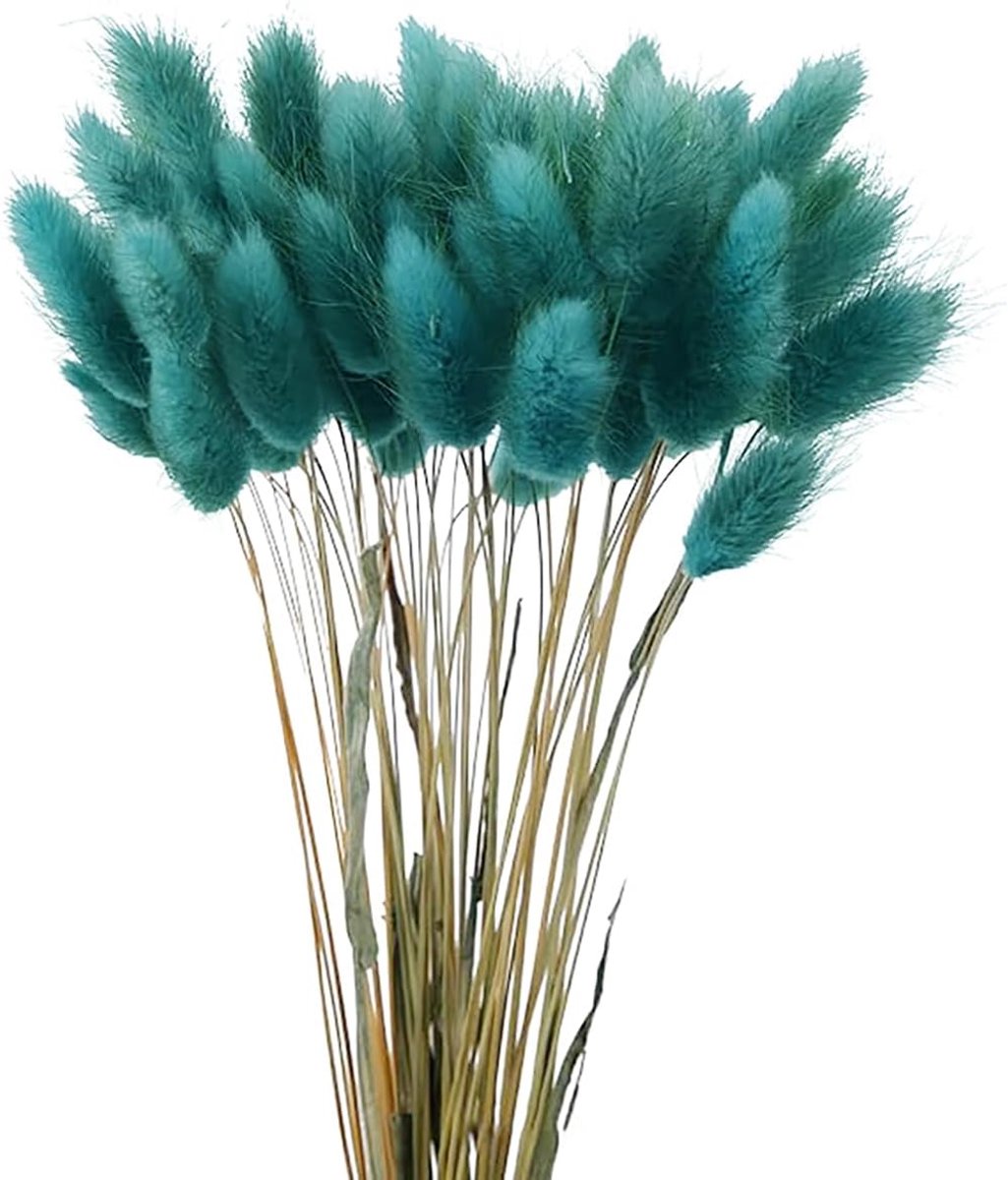 SnelShoppen - 60 Stuks 40cm Natuurlijke Gedroogde Bloemen Decoratie, Gedroogde Pampas Gras Bloemen, Fluffy Boho Decoratie voor Bloemarrangementen, Hui