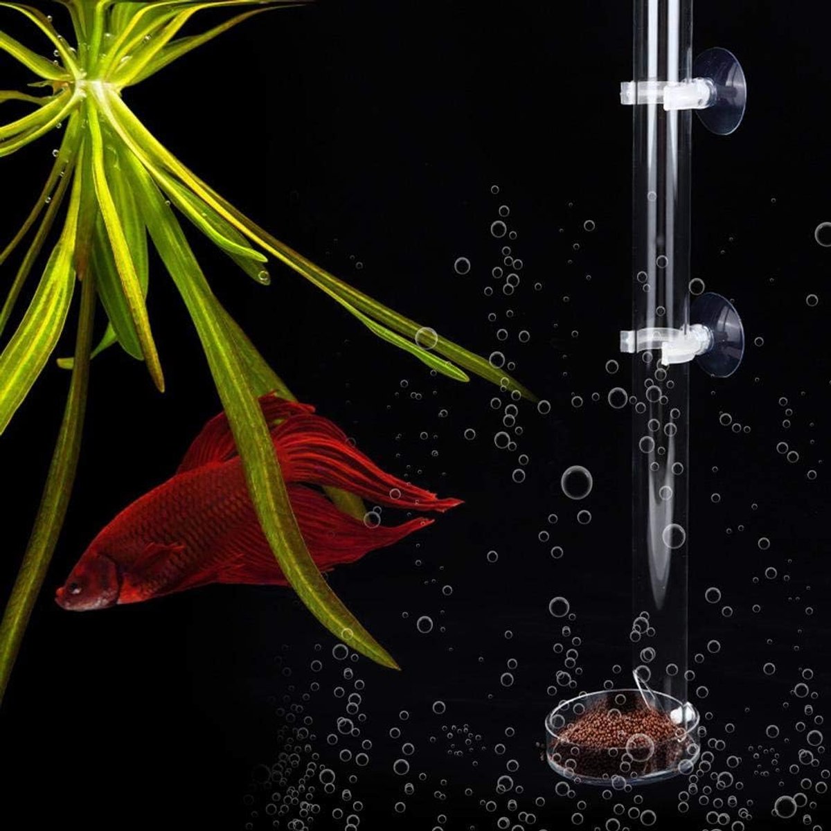SnelShoppen - Acryl Kristal Garnalen Voederbuis en Bord - Aquarium Voederprobe voor Garnalen, Vissen, Krabben en Tropische Vissen - Eenvoudig Te Gebru