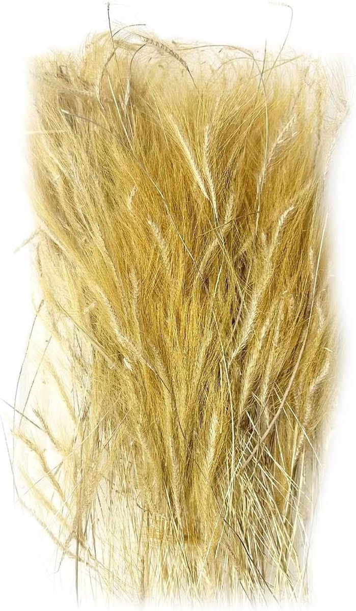SnelShoppen - Miniatuur statisch gras model, tarwe tufts voor treinlandschap, spoorweg landschap, kunstgras, 110 x 60 mm, eenvoudig te gebruiken