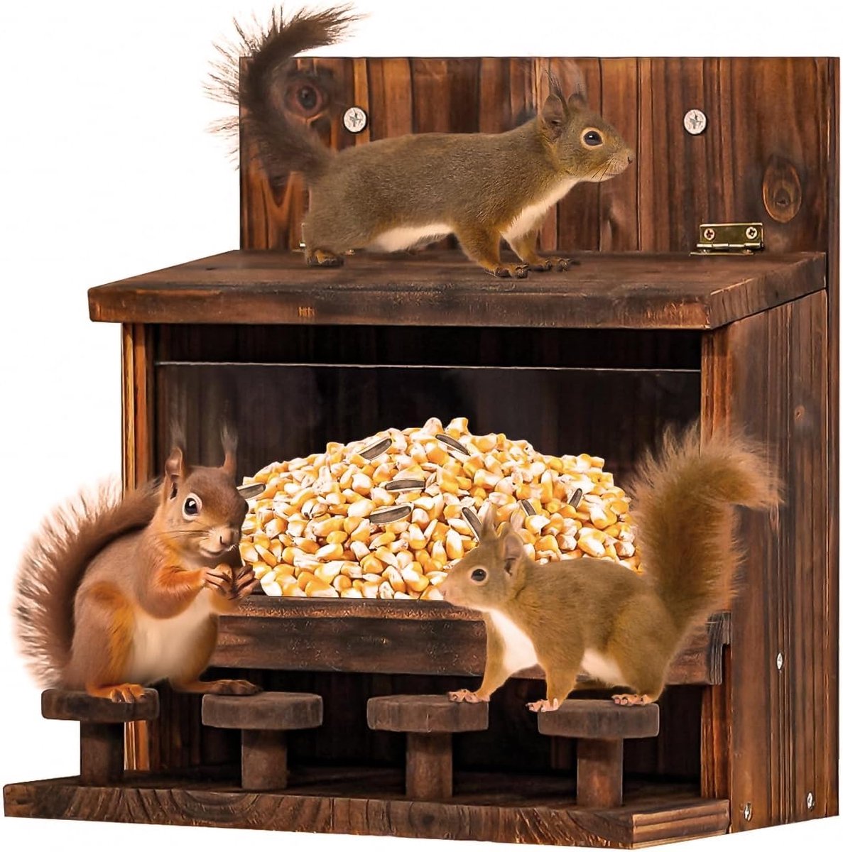 Squirrel Feeders for Outdoor Funny, Peanut Feeder Squirrel House Outdoor, Charred Wooden Chipmunk Picnic Table Feeder - ShopVlot