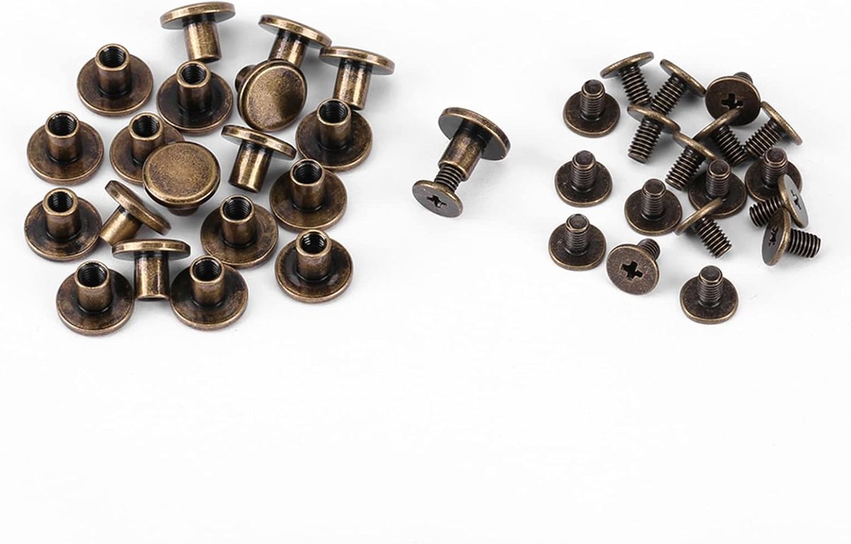 SnelShoppen - HEEPDD Leren Klinknagel Set, 20 Stuks Messing Platte Hoofd Schroeven, 8mm Spijkers voor Webbing, Portemonnee, Handtas, DIY Decoratie voo