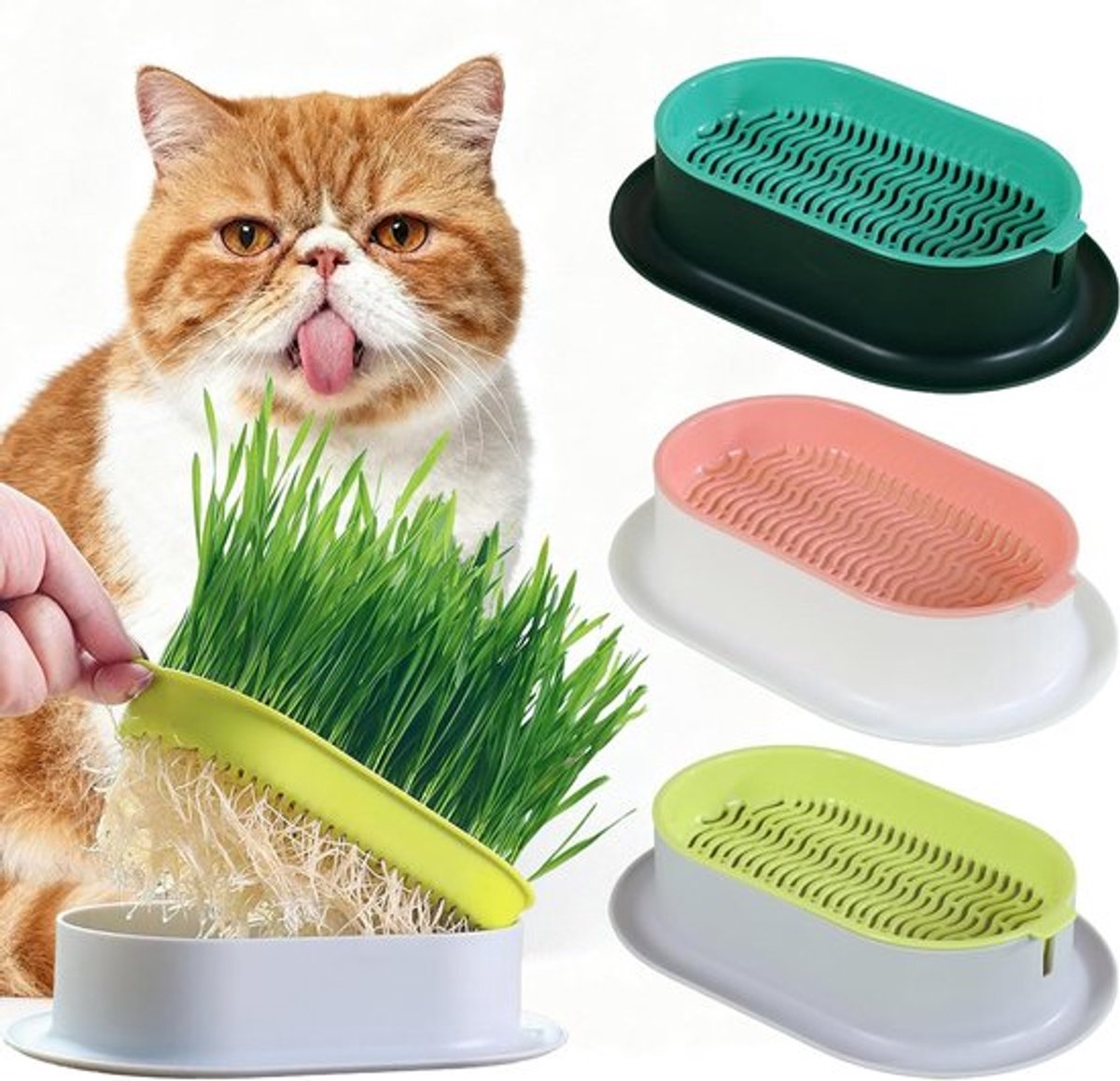 3 Plantbakken voor Kattengras - Hydroponische trays - 18,9 × 12,3 × 4,5 cm - Herbruikbaar - Gemakkelijk te planten - Met beschermend gaas - Geschikt voor binnen, balkon en terras - Verkrijgbaar in 3 kleuren
