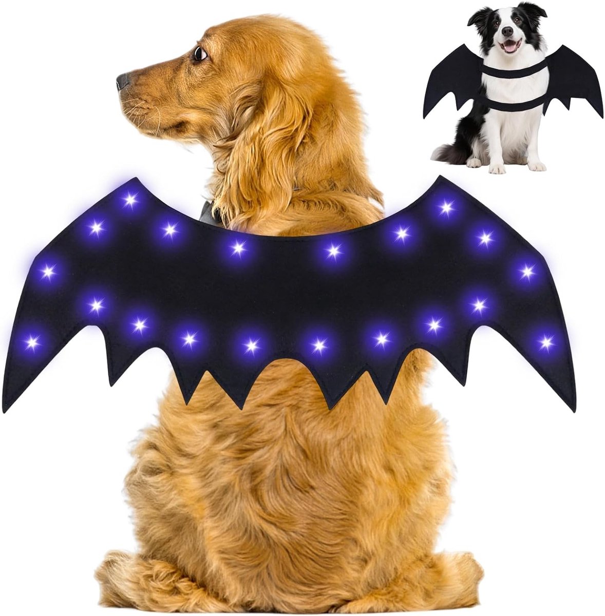 Halloween Kostuum voor Honden - Bat Wings met LED Verlichting voor Honden en Katten - Cosplay Kostuum 43 x 20 cm Zwart