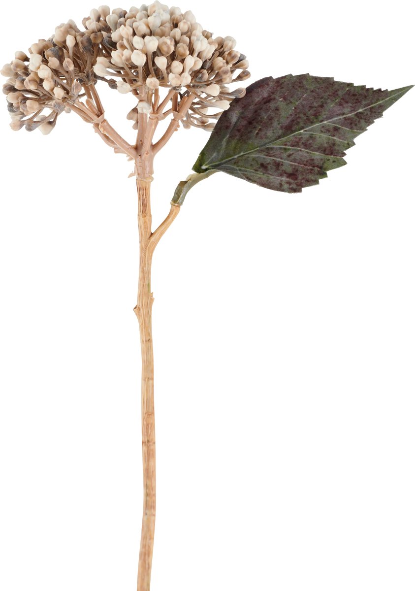 Easyplants | Kunstbloem Gedroogde Hortensia 38 cm creme/bruin | Zijde | Nepbloemen | bruin | Onderhoudsvrij | Kant-en-klaar