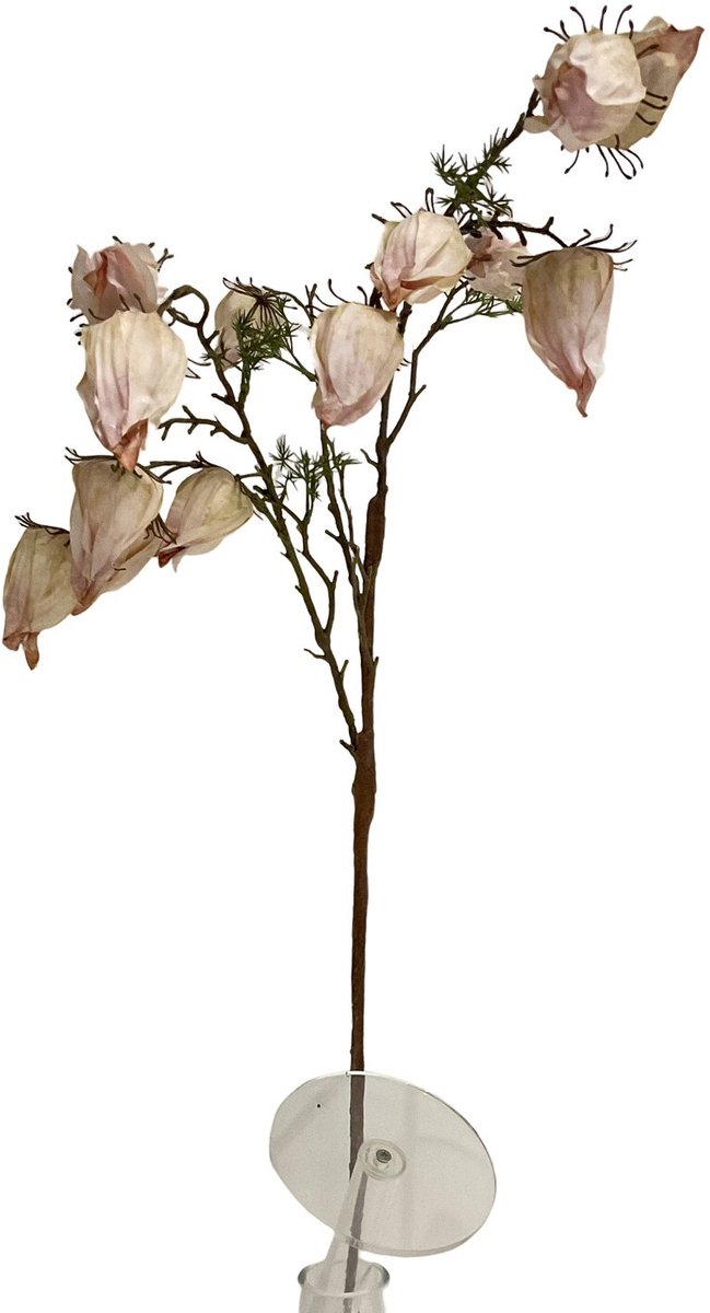 Kunsttak Leucocoryne off-white