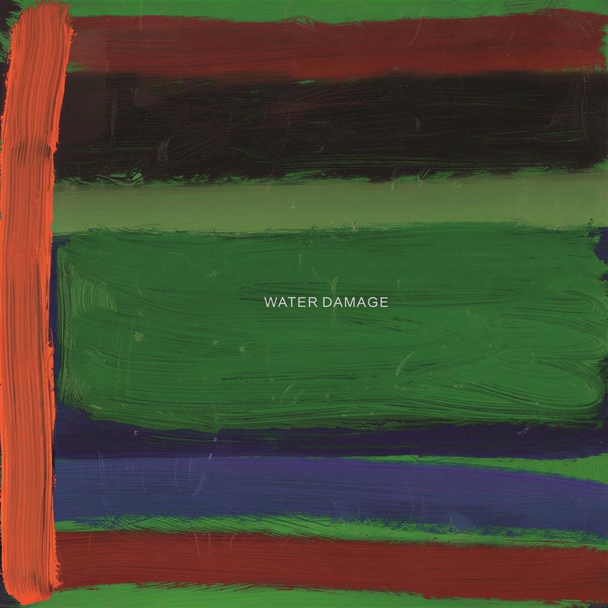 Water Damage - Repair (2 LP)