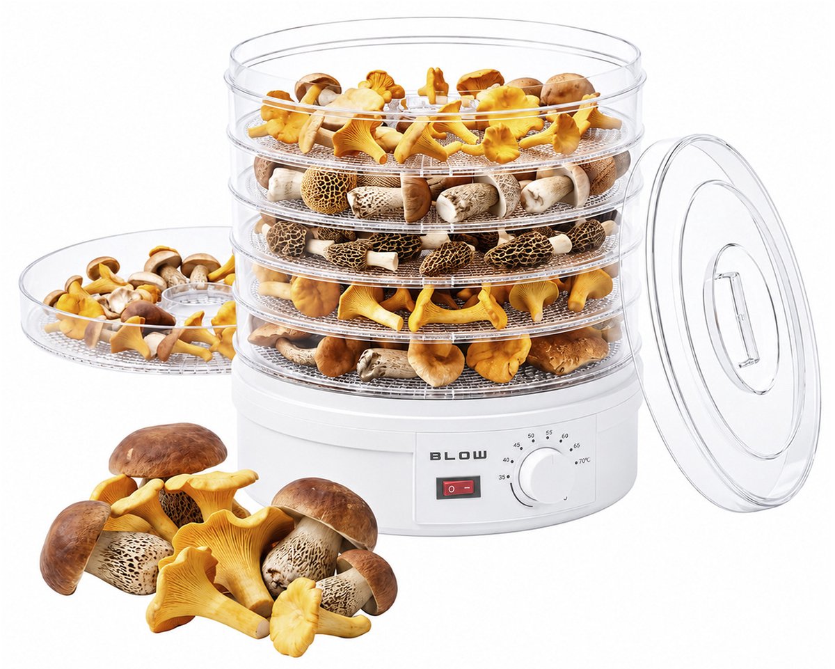 Blow- Voedseldroger voor groenten en fruit, vermogen 500 W, inclusief 6 roosters, temperatuurregeling 35-75 °C, 44-175