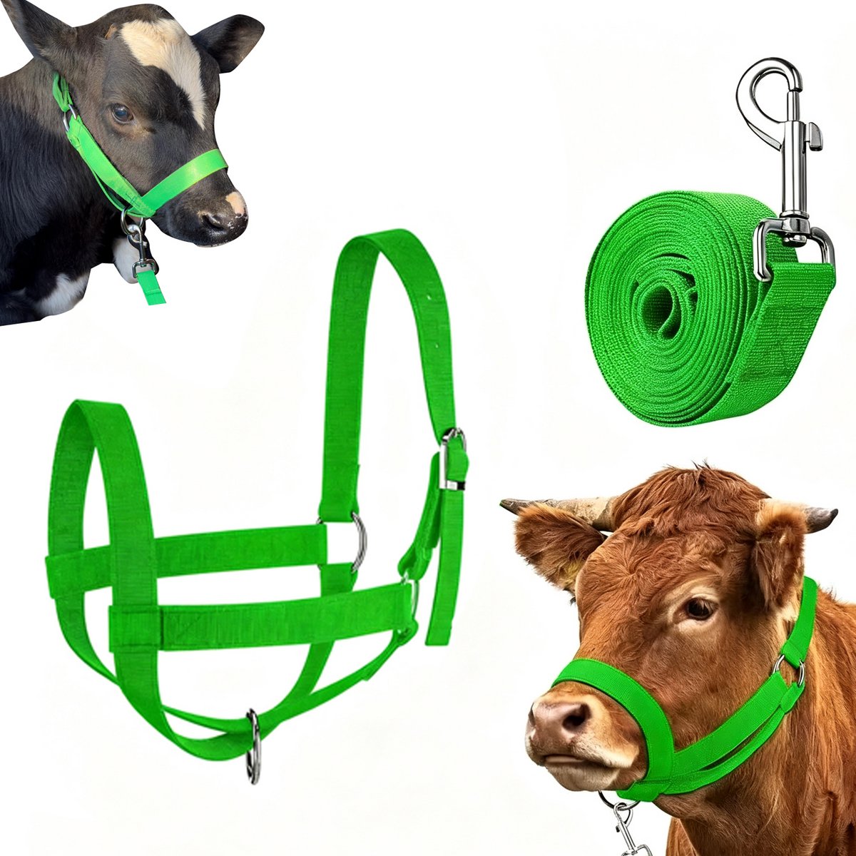 Stierenhoofdstel - Stierenkop touw - Teugels voor vee - Versterkte touwen voor runderen en paarden - Verstelbare teugels voor kalveren - Trainingsmateriaal voor vee - Groen - Maat M - Met riem - Geschikt voor paarden, ezels en geiten