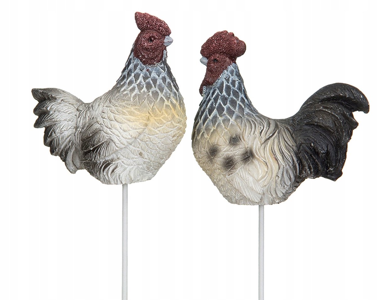 Decoratieve Haan Set voor Potten en Kransen - 2 stuks