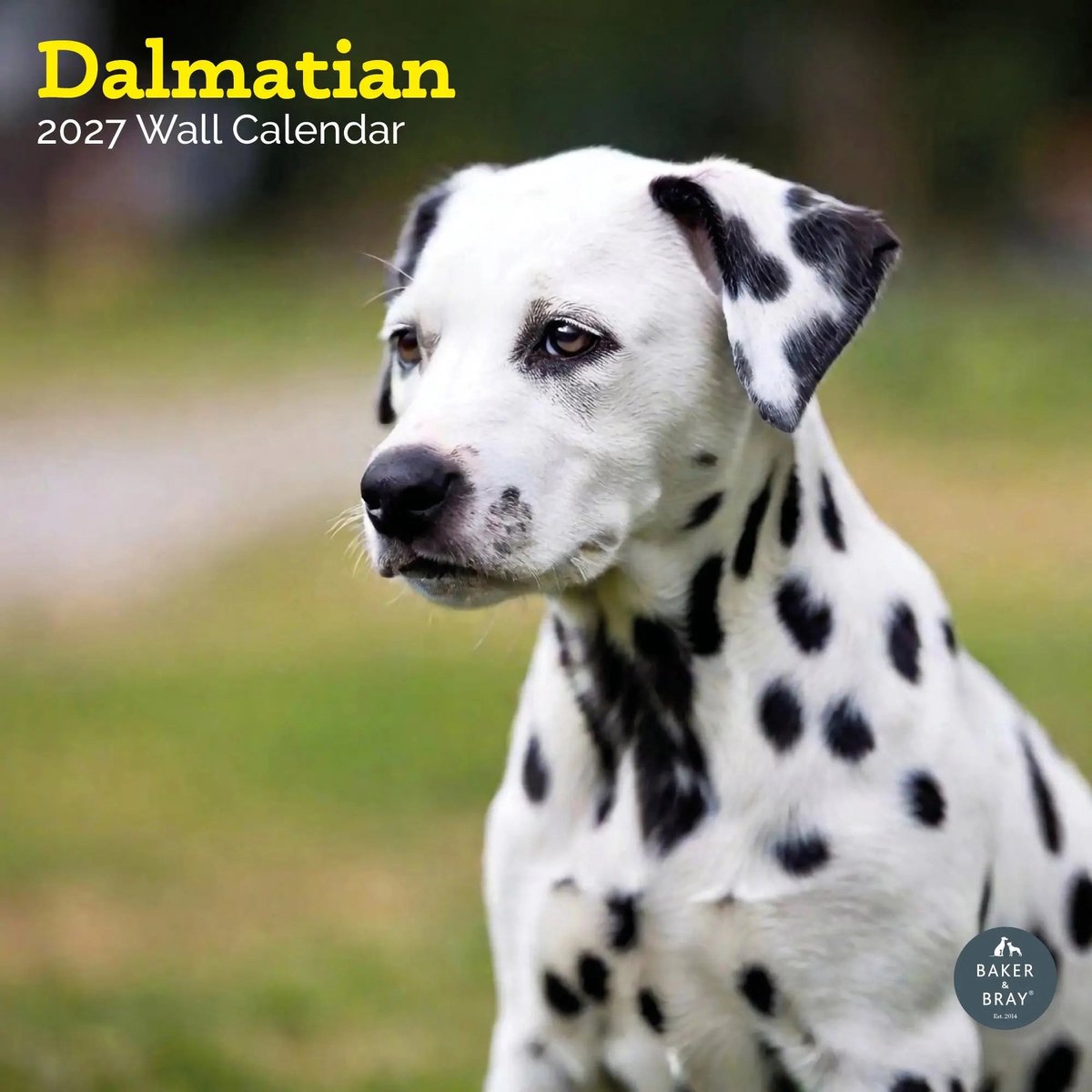 Dalmatier Kalender 2027