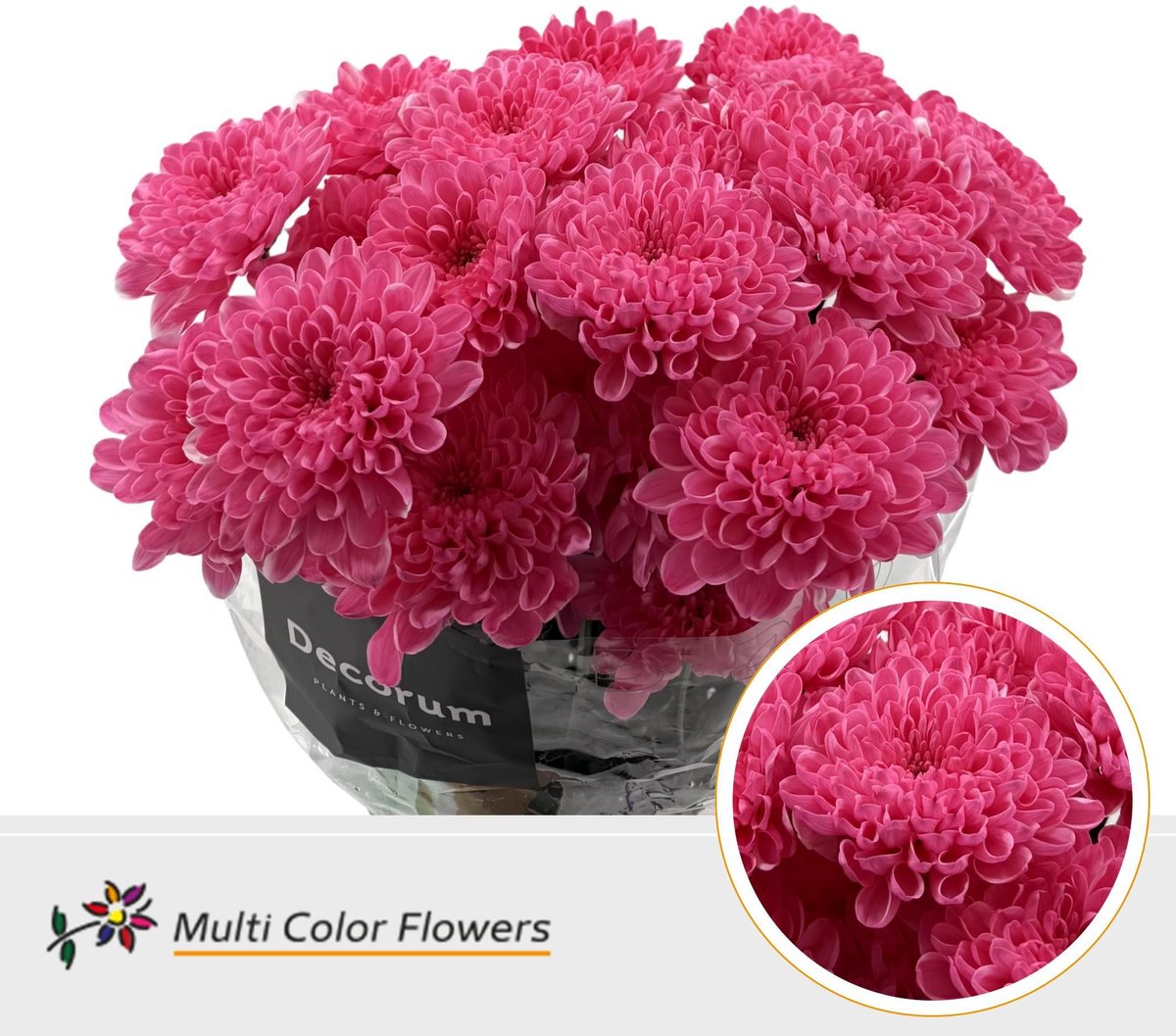 10x Chrysant overig 60cm