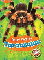 Creepy Crawlies - Tarantulas