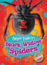 Creepy Crawlies - Black Widow Spiders