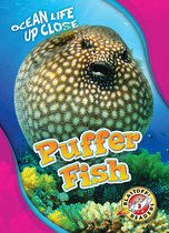 Ocean Life Up Close - Puffer Fish