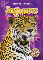 Animal Safari - Jaguars