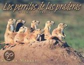 Los Perritos de las Praderas / Prairie Dogs