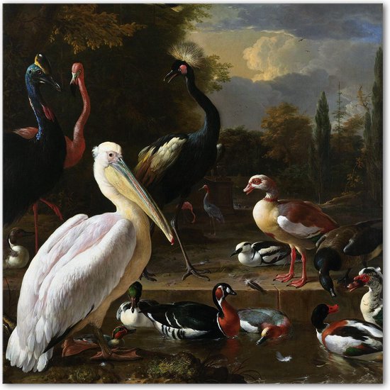 Pelikaan en ander gevogelte - d' Hondecoeter - Vogels - Schilderij op Canvas