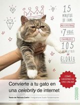 Convierte a Tu Gato En Una Celebrity de Internet