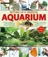 Setting Up a Tropical Aquarium