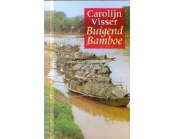 Omslag van Buigend bamboe