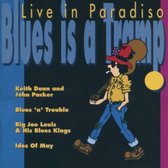 Various Artists - Blues Is A Tramp. Live In Paradiso (2 CD)