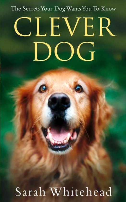 Clever Dog - cover