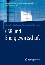 Csr Und Energiewirtschaft
