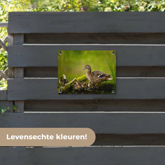 Décoration de Jardin Canard - Vogels - Water - Branche - Mousse - 40x30 cm