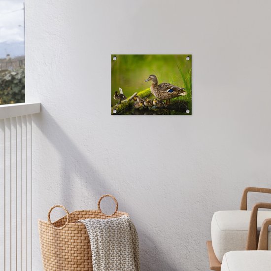 Décoration de Jardin Canard - Vogels - Water - Branche - Mousse - 40x30 cm