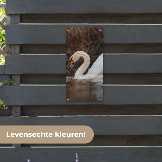 Affiche de jardin Cygne - Water - Animaux - Vogel - 30x60 cm - Toile de jardin - Poster extérieur