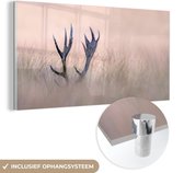 MuchoWow® Glasschilderij 120x60 cm - Schilderij acrylglas - Gewei - Hert - Gras - Natuur - Foto op glas - Schilderijen