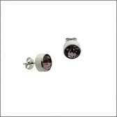 Aramat jewels ® - Zweerknopjes geboortesteen oorbellen februari paars chirurgisch staal 3mm