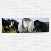 Muursticker - Kudde Wilde Paarden in Verschillende Kleuren onder Blauwe Lucht - 120x40 cm Foto op Muursticker