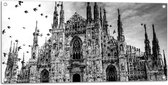 Tuinposter – Kathedraal in Milaan in het Zwart- wit - 100x50 cm Foto op Tuinposter (wanddecoratie voor buiten en binnen)