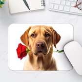 Muismat - Romantische Golden Retriever Hond met Roos tegen Witte Achtegrond - 25x18 cm - 2 mm Dik - Muismat van Vinyl