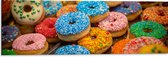 Dibond - Rij Verse Donuts met Verschillende Kleuren Sprinkles - 90x30 cm Foto op Aluminium (Wanddecoratie van metaal)