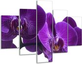 Glasschilderij -  Orchidee - Paars, Wit, Zwart - 100x70cm 5Luik - Geen Acrylglas Schilderij - GroepArt 6000+ Glasschilderijen Collectie - Wanddecoratie- Foto Op Glas