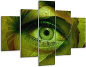Peinture sur verre oculaire | Vert, marron | 100x70cm 5Liège | Tirage photo sur verre |  F001131