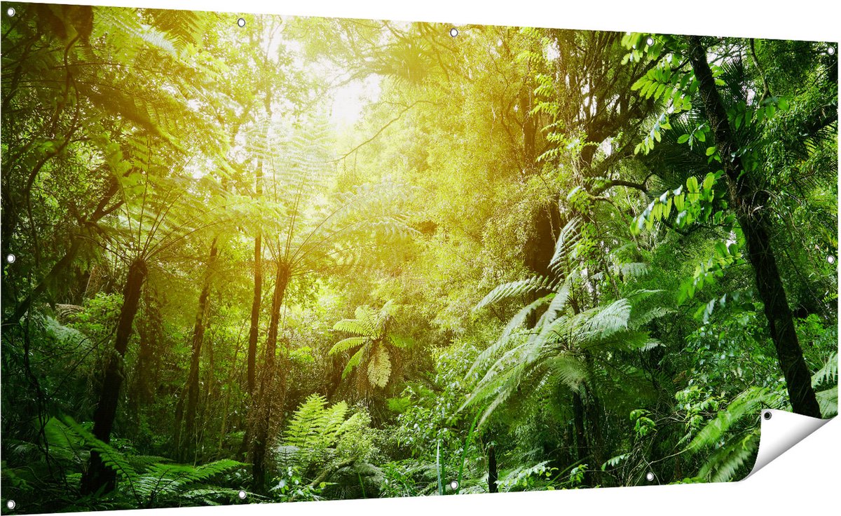 Gards Tuinposter Tropische Jungle met Zonneschijn - 200x100 cm - Tuindoek - Tuindecoratie - Wanddecoratie buiten - Tuinschilderij Multikleur