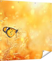 Gards Tuinposter Oranje Vlinder in het Oranje Veld - 110x110 cm - Tuindoek - Tuindecoratie - Wanddecoratie buiten - Tuinschilderij