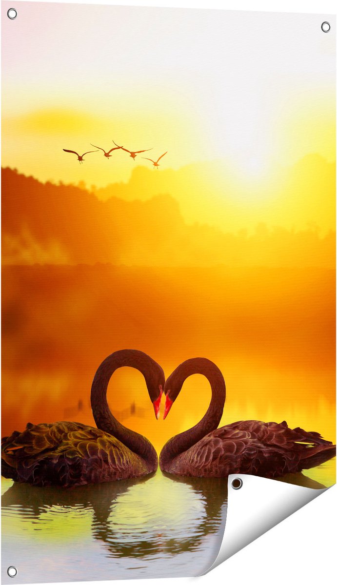 Gards Tuinposter Twee Zwarte Zwanen in een Hart Vorm - 60x90 cm - Tuindoek - Tuindecoratie - Wanddecoratie buiten - Tuinschilderij Multikleur