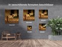 Afbeelding nummer  7