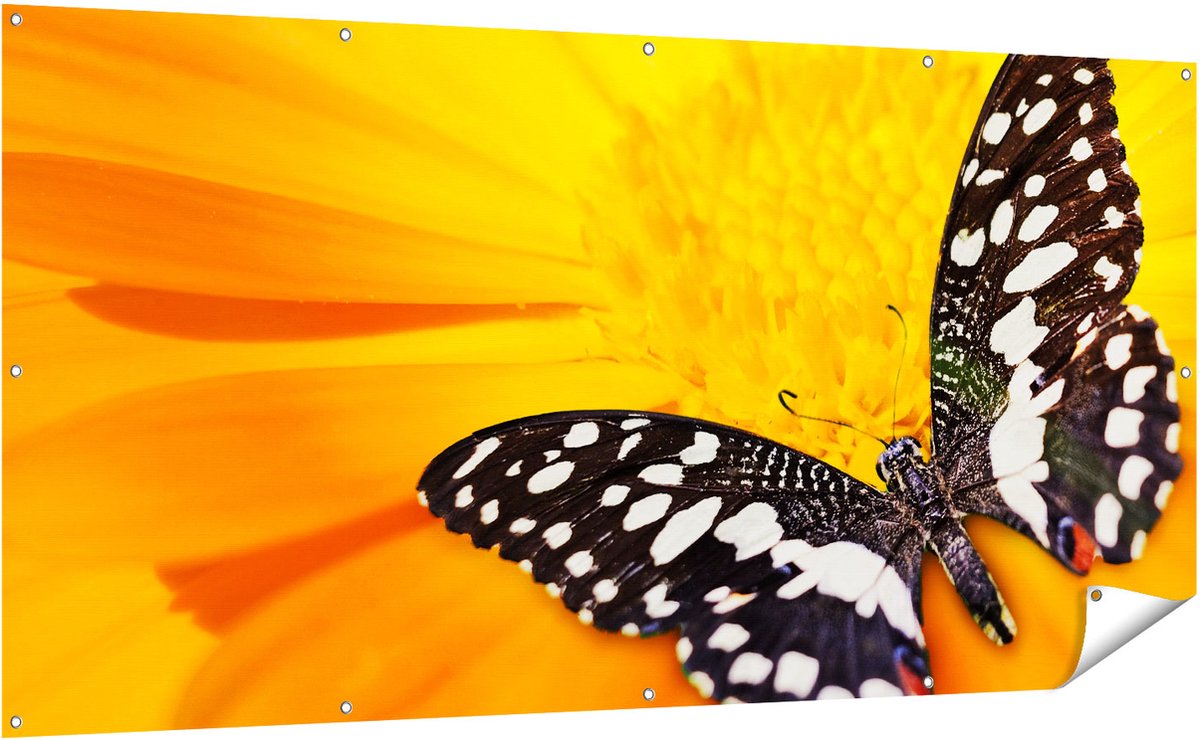 Gards Tuinposter Vlinder op een Oranje Bloem - 200x100 cm - Tuindoek - Tuindecoratie - Wanddecoratie buiten - Tuinschilderij Multikleur
