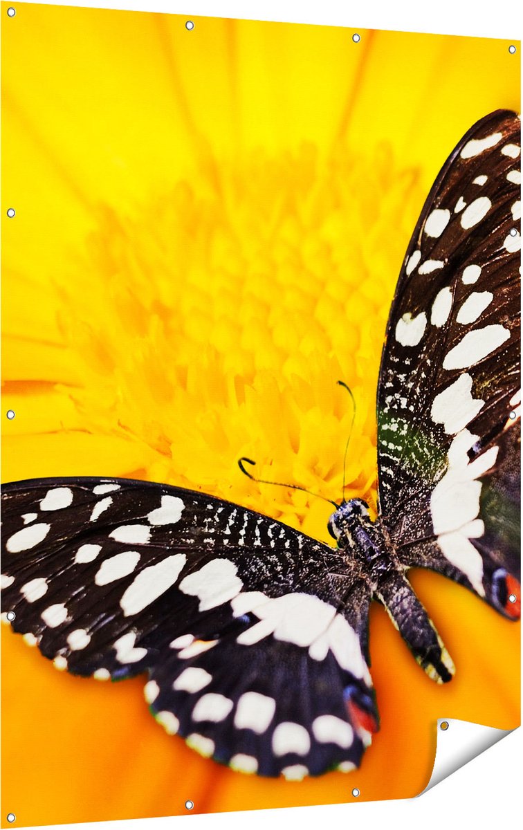 Gards Tuinposter Vlinder op een Oranje Bloem - 120x160 cm - Tuindoek - Tuindecoratie - Wanddecoratie buiten - Tuinschilderij Multikleur