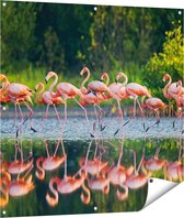Gards Tuinposter Kudde Flamingo's op het Water - 100x100 cm - Tuindoek - Tuindecoratie - Wanddecoratie buiten - Tuinschilderij